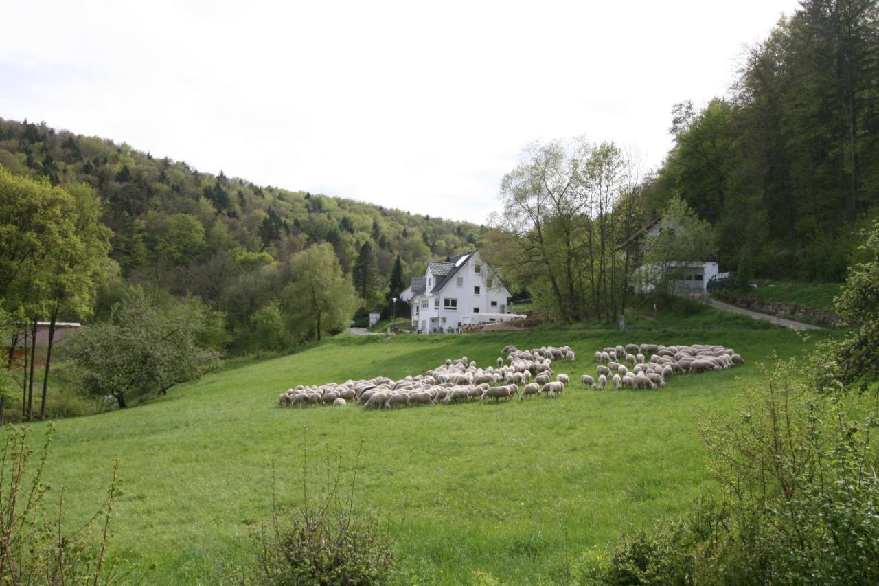B&B Arlesbrunnen Egloffstein Extérieur photo