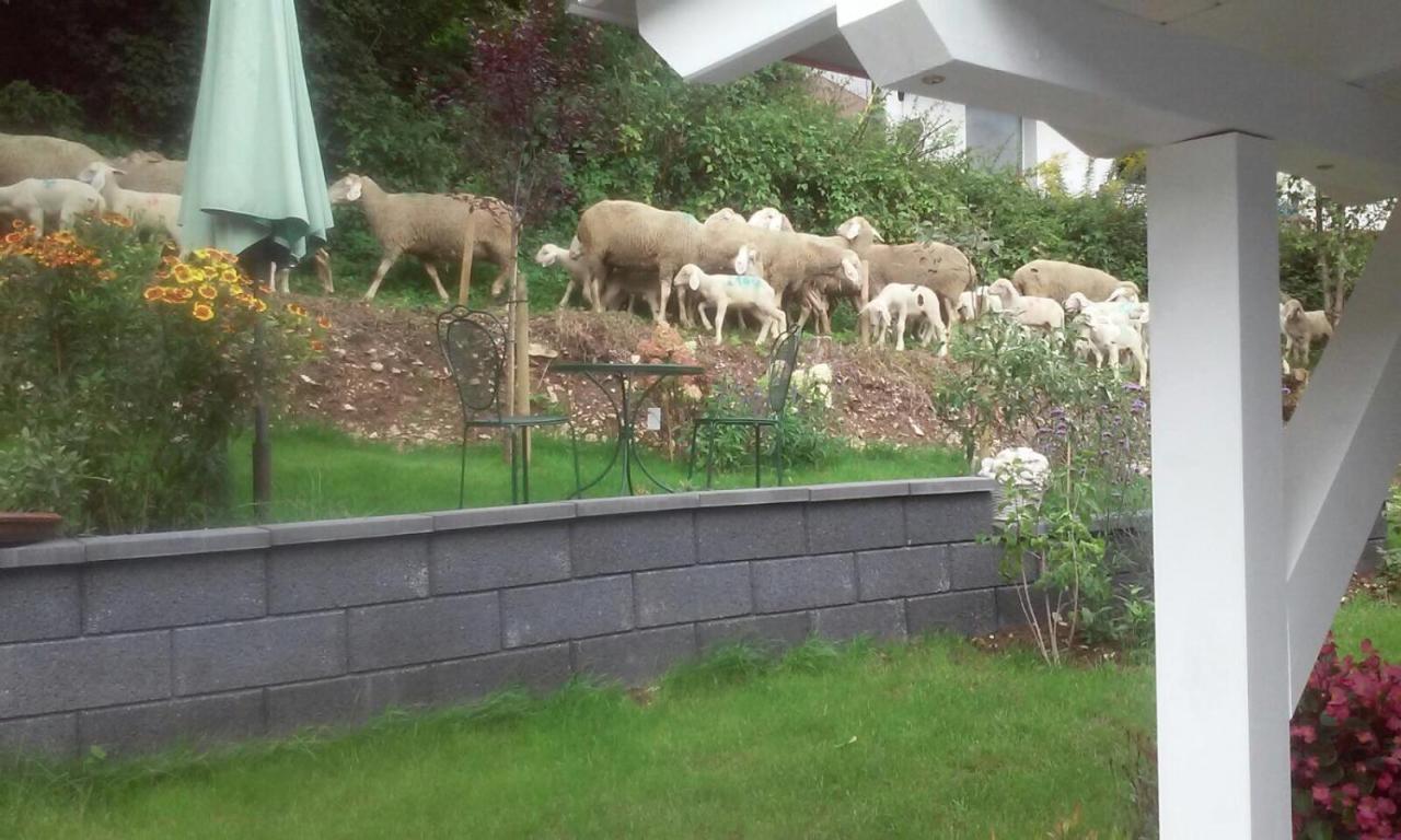 B&B Arlesbrunnen Egloffstein Extérieur photo